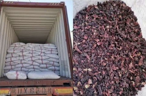 Nuvetra Global Hibiscus