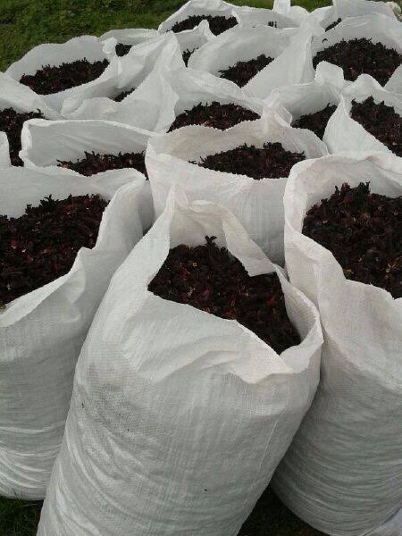 Nuvetra Global Hibiscus