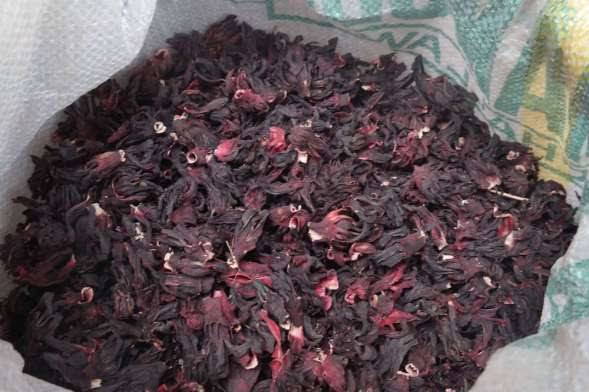 Nuvetra Global Hibiscus