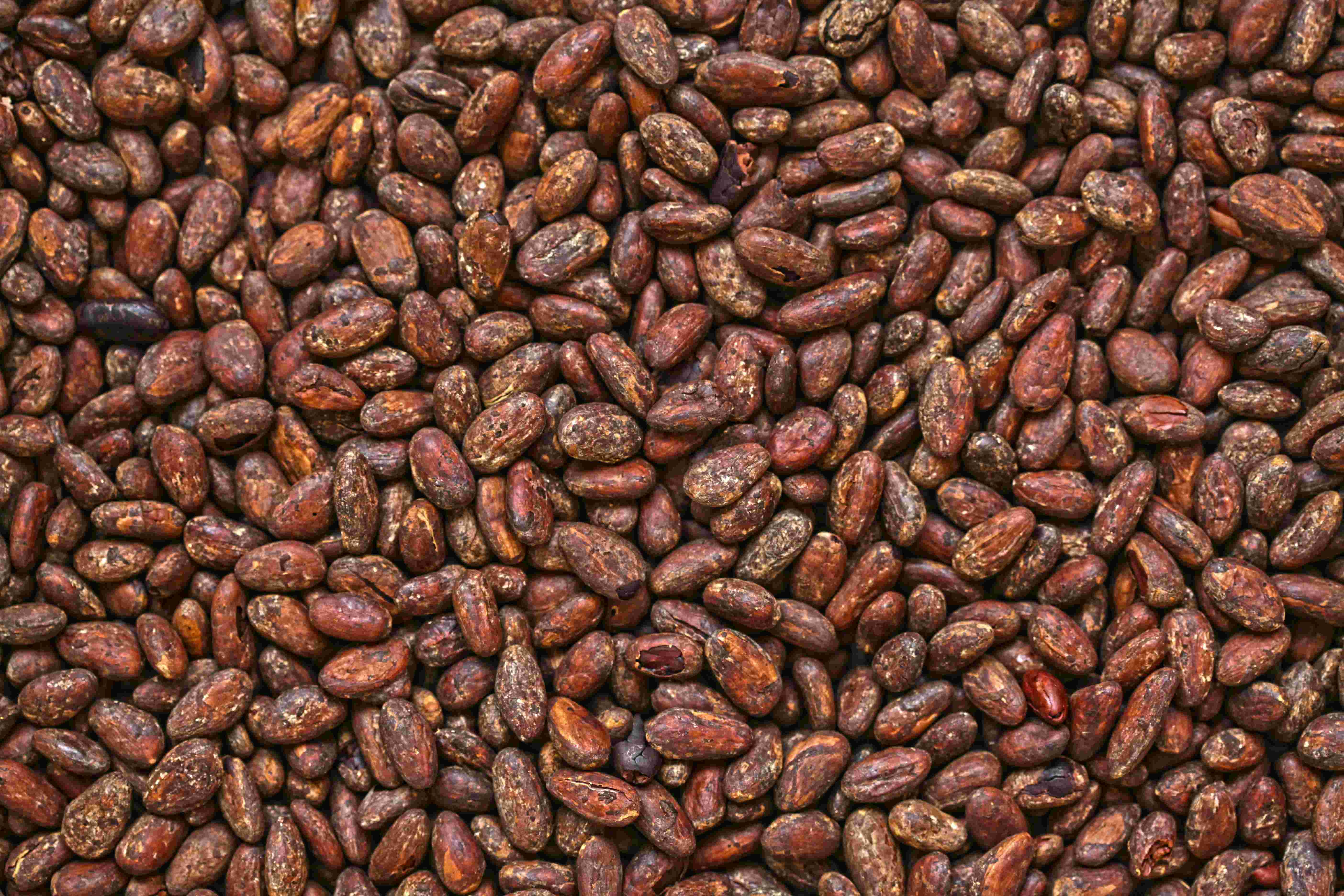 Nuvetra Global Cocoa