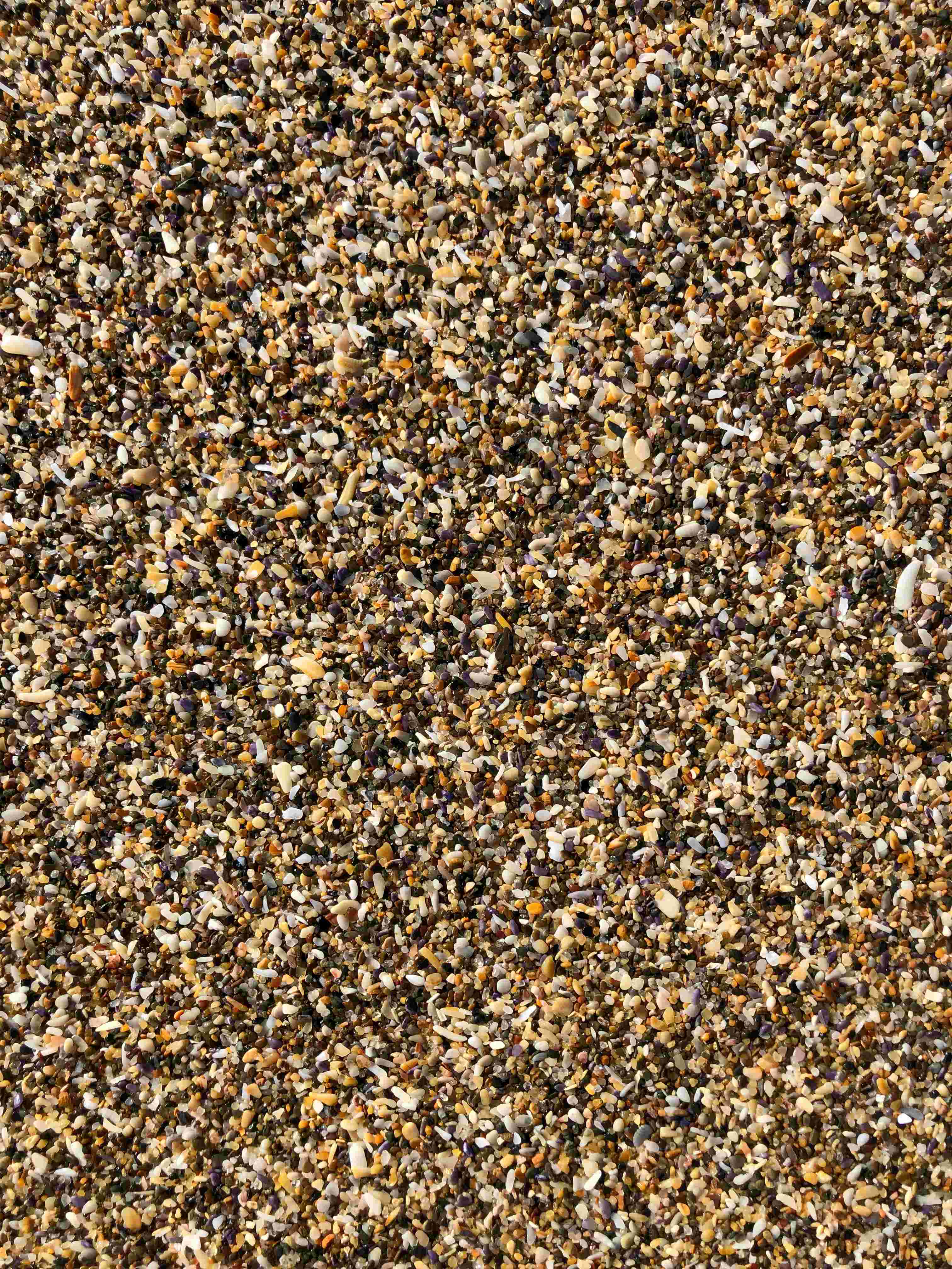 Nuvetra Global Sesame Seeds
