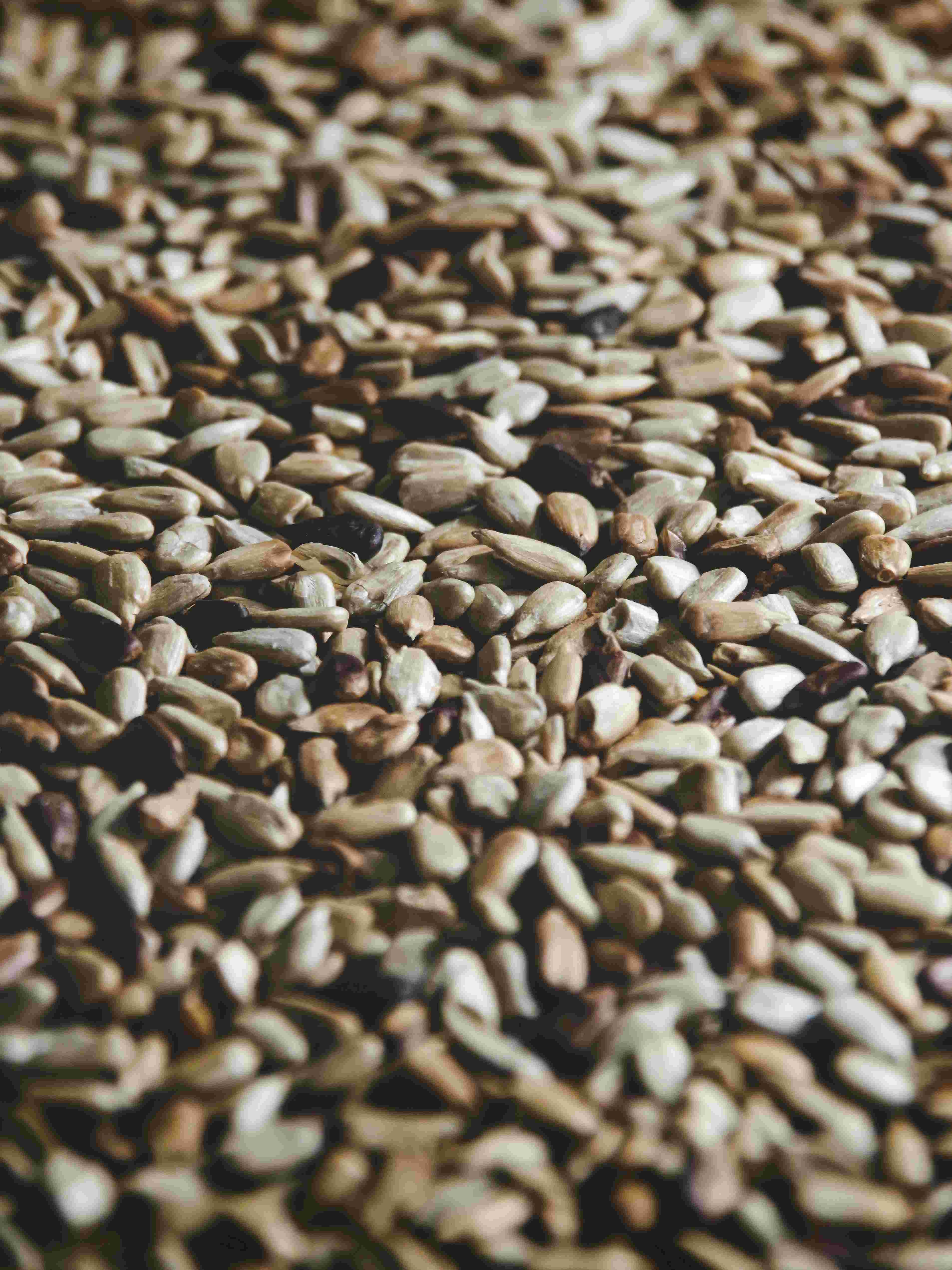 Nuvetra Global Sesame Seeds